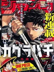 海贼王 555电影院netflix官网